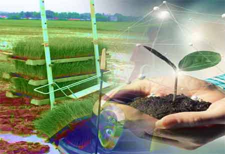 What Advantages Does Online Learning Offer Over Traditional Methods?